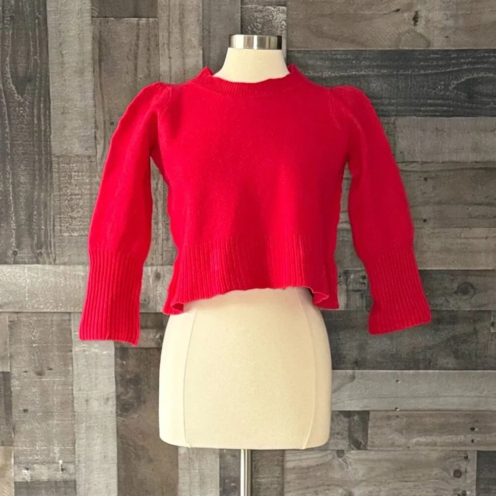 Hill House red wool cropped sweater large preppy academia minimalist gorpcore
